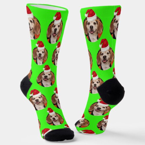 Pet Photo Neon Green Santa Hats on Head Christmas Socks