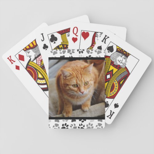 Pet Photo Paw Prints Customize Personalize Cat Dog Poker Cards