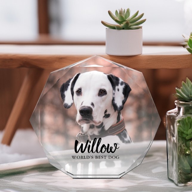 Pet Photo Personalized (Creator Uploaded)