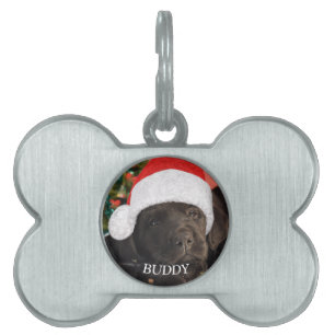 Pet Photo Personalized Dog Lover Pet ID Tag