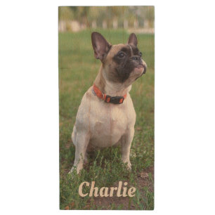 Pet Photo Personalized USB Flash Drive