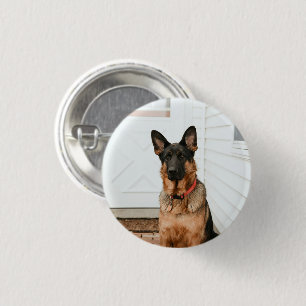 Pet Photo Picture Custom Upload Cute Adorable Button
