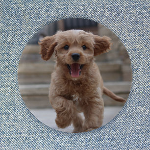 Pet Photo   Picture Upload Cute Adorable Dog Button