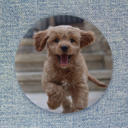 Pet Photo  Picture Upload Cute Adorable Dog Button