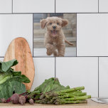 Pet Photo | Picture Upload Cute Adorable Dog Ceramic Tile<br><div class="desc">Custom photo design your own template to include your favorite photograph of your dog, cat, pets, baby, kids, family or friends! An easy to personalize template to make your own one of a kind design with your images. The perfect gift for a loved one! The images shown are for illustration...</div>