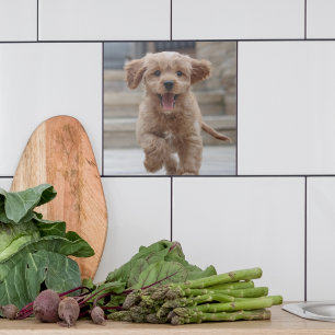 Pet Photo   Picture Upload Cute Adorable Dog Ceramic Tile
