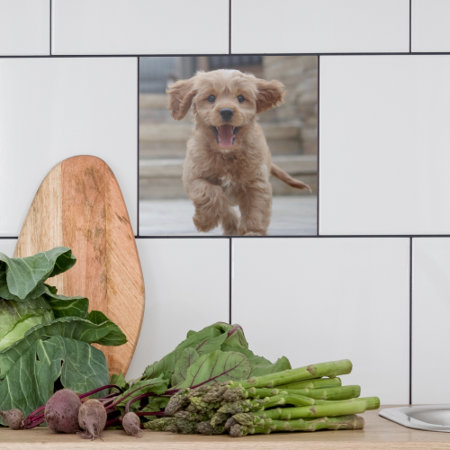 Pet Photo | Picture Upload Cute Adorable Dog Ceramic Tile