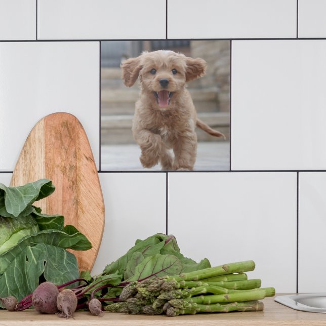 Pet Photo | Picture Upload Cute Adorable Dog Ceramic Tile (Creator Uploaded)