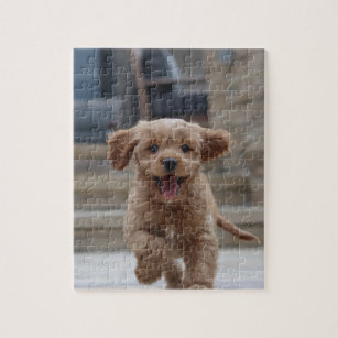 Pet Photo   Picture Upload Cute Adorable Dog Jigsaw Puzzle