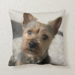 Pet Photo Pillow | Paw Print Tribute