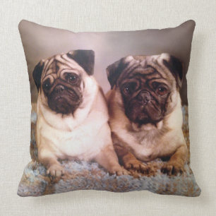 Pet Photo Pillow Pet's NAME or Unconditional Love