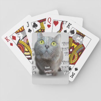 Pet Photo Playing Cards by Zazzimsical at Zazzle