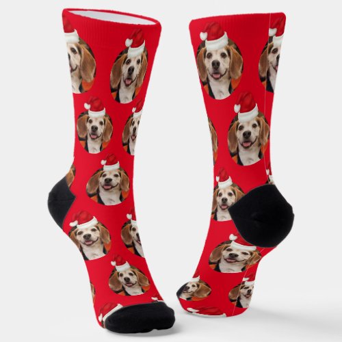 Pet Photo Red Santa Hats Cute Christmas Socks