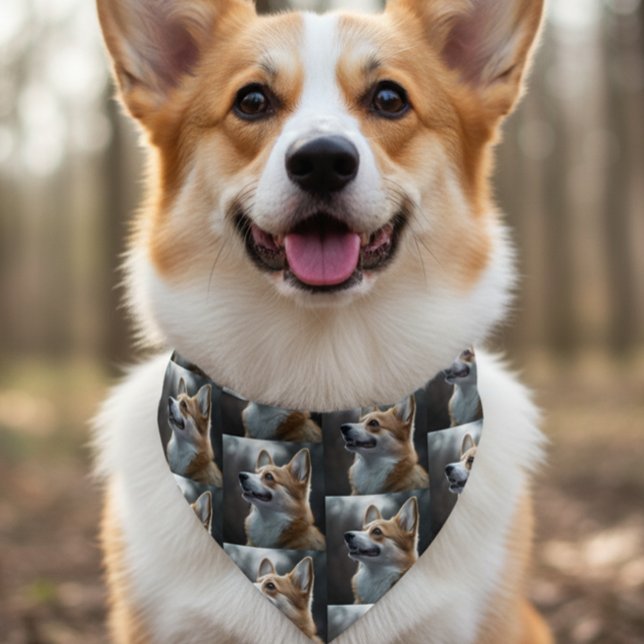 Pet photo Repeating Design Personalized Bandana Collar (Creator Uploaded)
