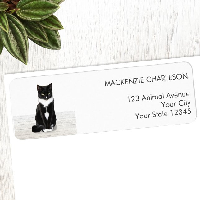 Pet Photo Return Address Label (Personalized pet photo custom return address label for animal lovers)