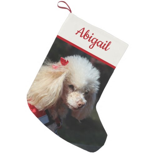 Pet Photo Reversible Personalized Small Christmas Stocking
