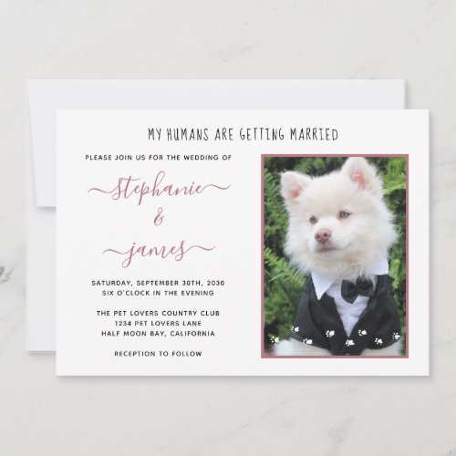 Pet Photo Rose Gold Humans Getting Married Wedding Invitation