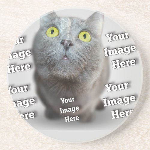 Pet Photo Sandstone Coaster