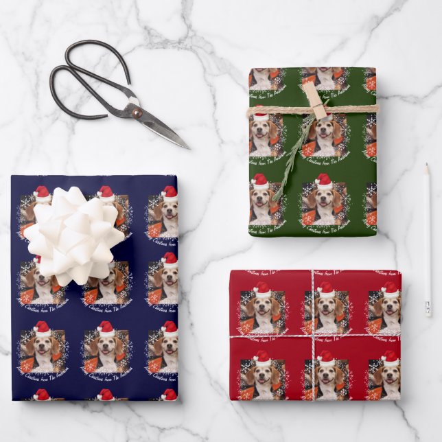 Pet Photo Santa Hat & Snowflakes Red Green Navy Wrapping Paper Sheets (Front)