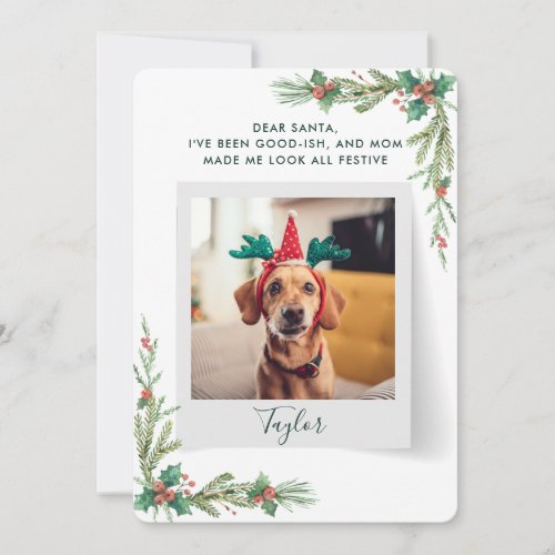 Pet Photo Script Funny Dog Christmas Holiday Card