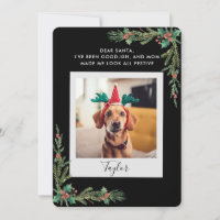 Pet Photo Script Funny Dog Christmas