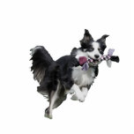Pet Photo Sculpture Statuette - Border Collie<br><div class="desc">Make this awesome pet photo sculpture for your desk by uploading a photo of your pet. Can be fully customized to suit your needs. © Gorjo Designs. Made for you via the Zazzle platform. // Need help customizing your design? Got other ideas? Feel free to contact me (Zoe) directly via...</div>