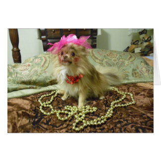 Pet Photo Shoot - 3rd in series Cards