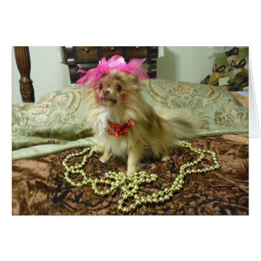 Pet Photo Shoot - 3rd in series Cards (Front Horizontal)