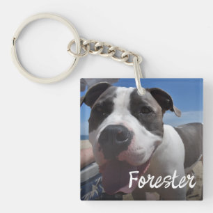 Pet photo simple photo collage keychain