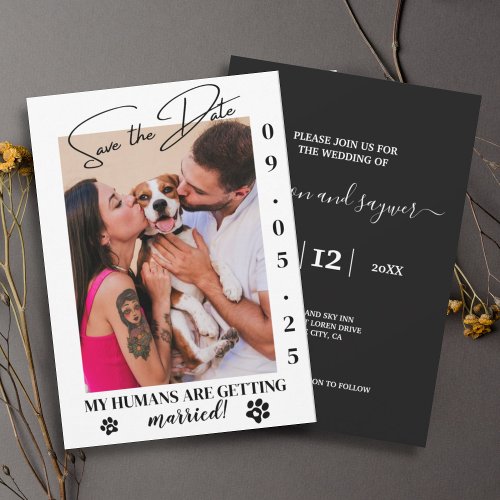 Pet Photo Simple Wedding Save the Date Online Invitation