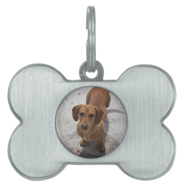 Pet Photo Tag (Front)
