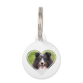 Pet Photo Template In Heart Shape With Pet's Info Pet ID Tag
