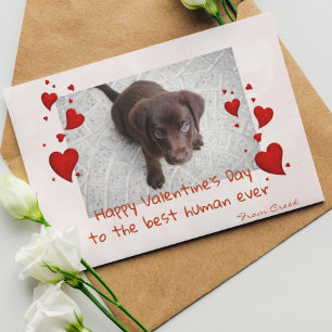Pet Photo Template Valentine's day Customize Card