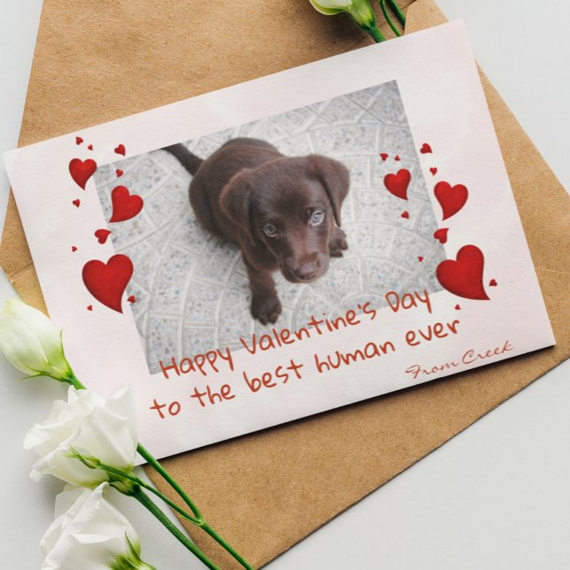 Pet Photo Template  Valentine's day Customize Card (Creator Uploaded)