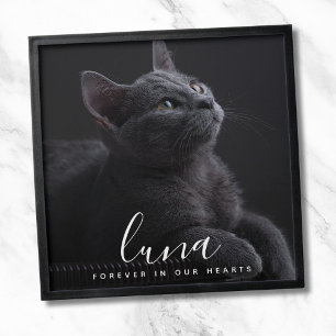 Pet Photo Tribute Peel And Stick Photo Tile