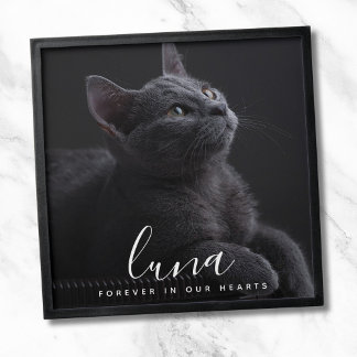 Pet Photo Tribute Peel And Stick Photo Tile