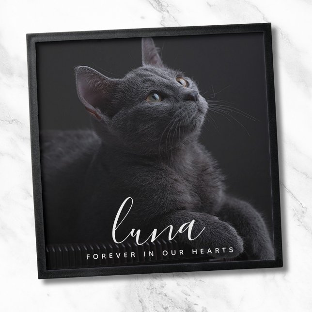 Pet Photo Tribute Peel And Stick Photo Tile (Cat Memorial Photo Tile)