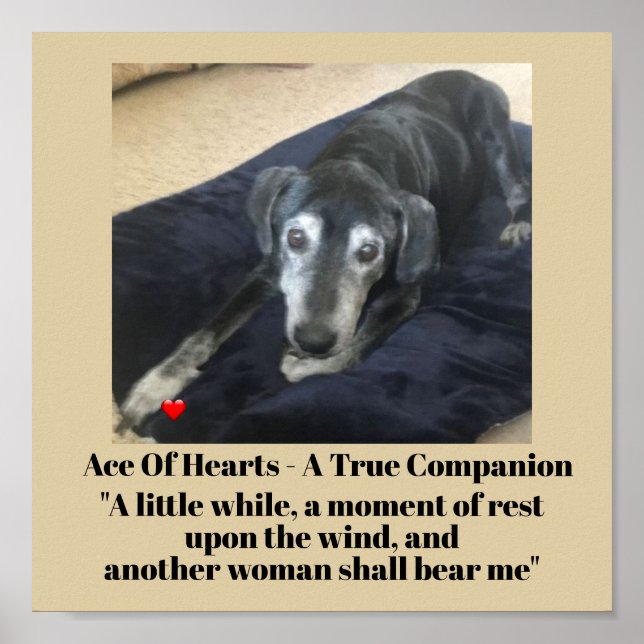 Pet Photo Typography memorial Poster Paper (Matte) (Front)