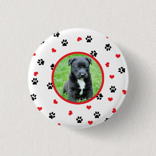pet photo with cute sweet paw and heart pattern button