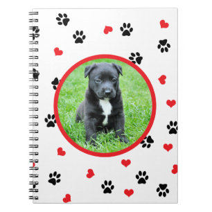 pet photo with cute sweet paw and heart pattern notebook