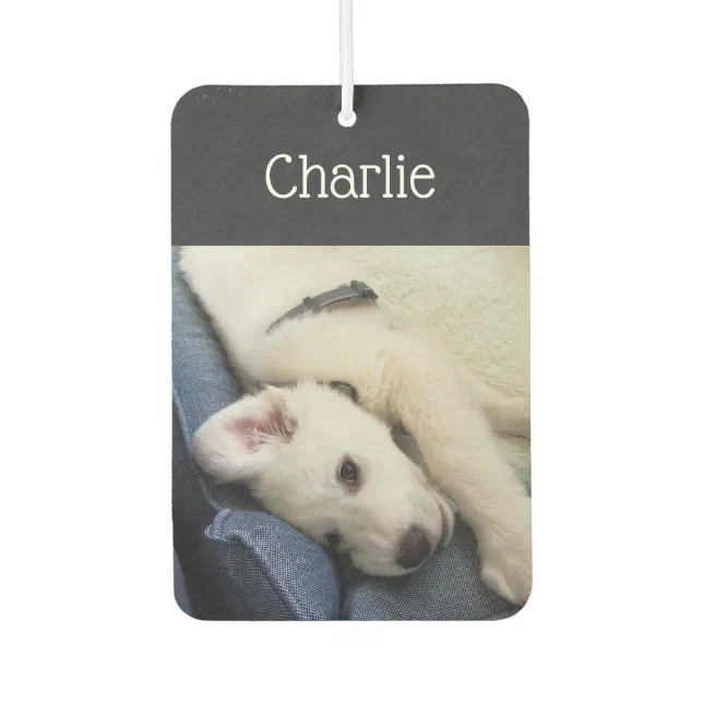 Pet Photo with Name Air Freshener Zazzle