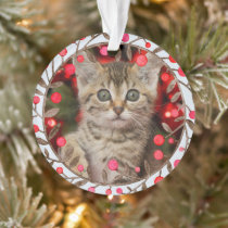 Pet Photo + Year &amp; Watercolor Reindeer Pastel Blue Ornament