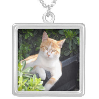 Pet Photograph Necklace