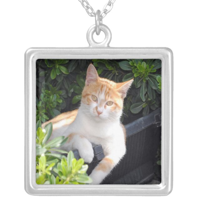 Pet Photograph Necklace (Front)