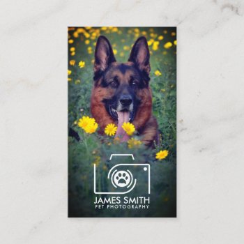 Pet Photographer - Animal Photography Business Card by WorkingArt at Zazzle
