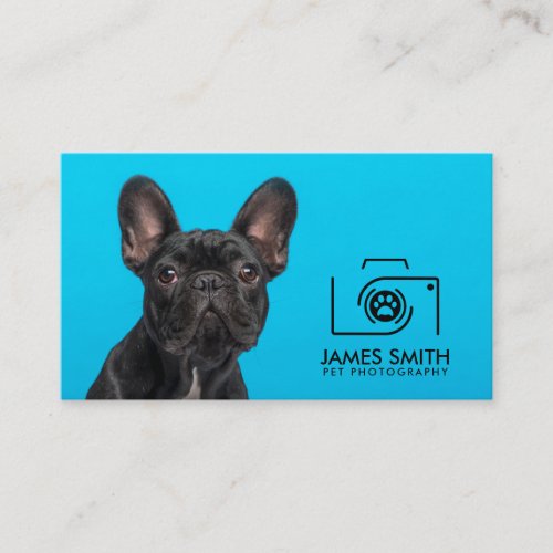 Pet Photographer _ Animal Photography Business Card