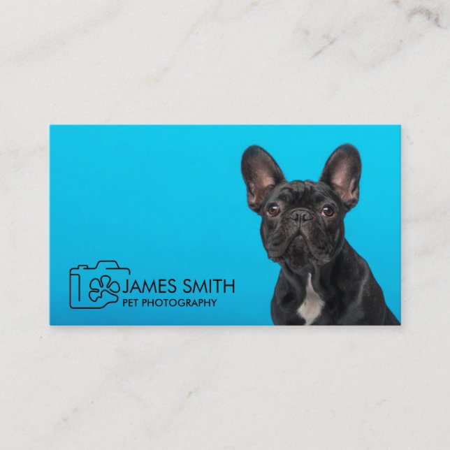 Pet Photographer - Animal Photography Business Card (Front)