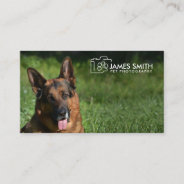 Pet Photographer - Animal Photography Business Card at Zazzle