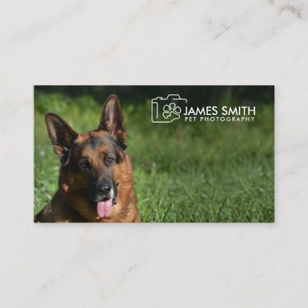 Pet Photographer - Animal Photography Business Card