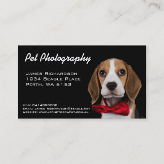 Pet photography business card